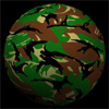 camo_dpm.jpg (11656 bytes)