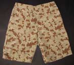 camo_sand.jpg (4243 bytes)