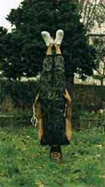 maharishi_upsidedown.jpg (7763 bytes)