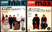 mag_max.jpg (5509 bytes)